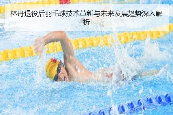 林丹退役后羽毛球技术革新与未来发展趋势深入解析