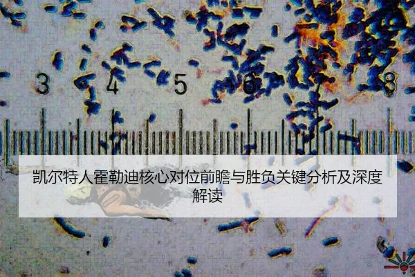 kai-er-te-ren-huo-lei-di-he-xin-dui-wei-qian-zhan-yu-sheng-fu-guan-jian-fen-xi-ji-shen-du-jie-du-2-250.jpg